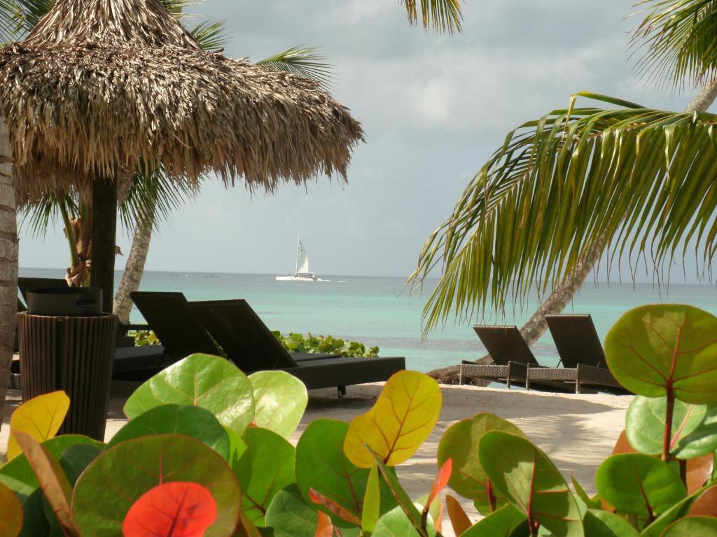 Miranda Bayahibe Hotel Exterior photo